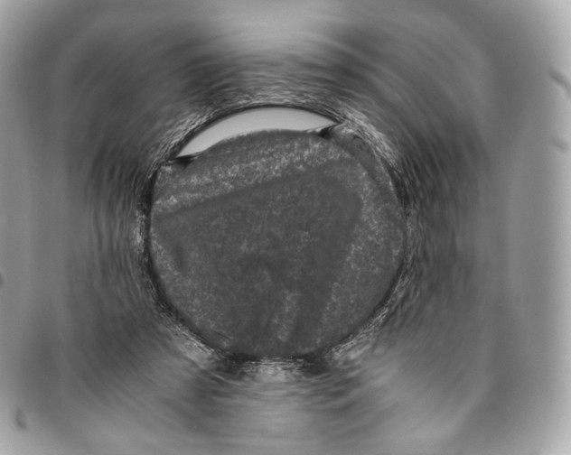 X0000096160305200802081440