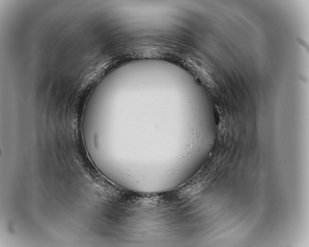 X0000096160306200802081440