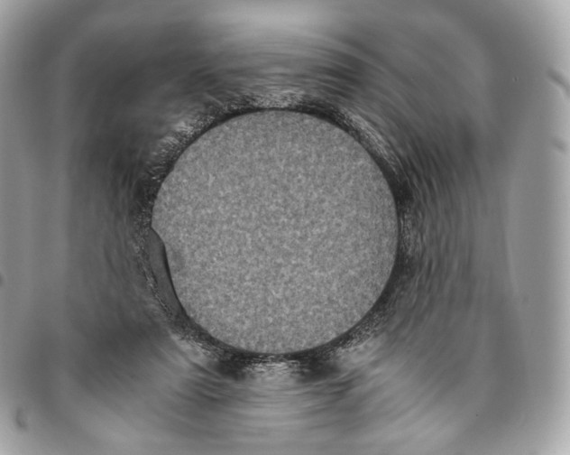 X0000096160307200802081440