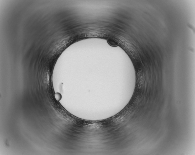 X0000096160310200802081440