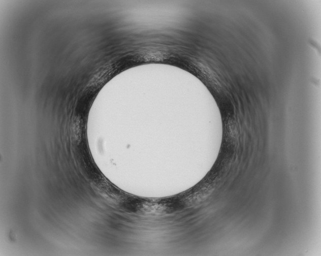 X0000096160311200802081440