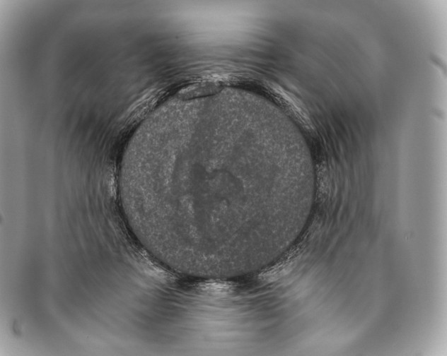 X0000096160313200802081440