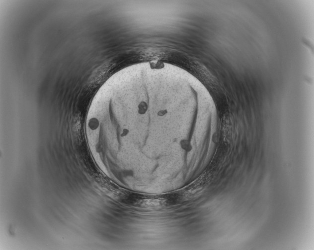 X0000096160314200802081440