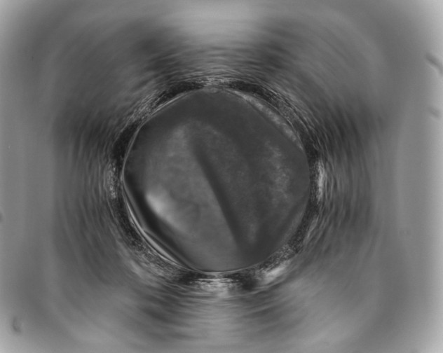 X0000096160316200802081440