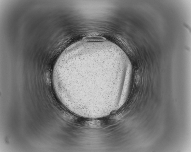 X0000096160317200802081440