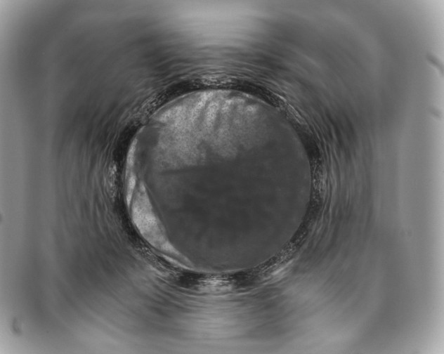 X0000096160319200802081440