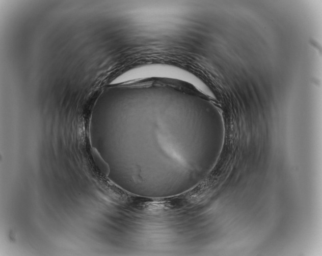 X0000096160320200802081440