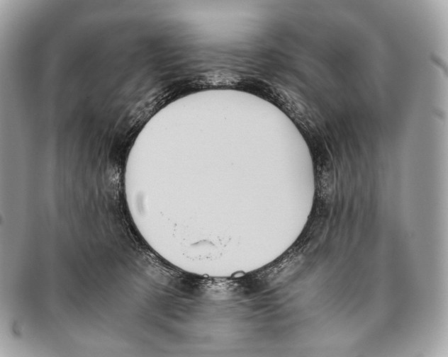 X0000096160321200802081440