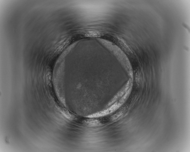 X0000096160322200802081440