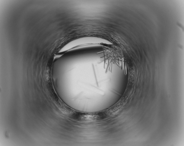 X0000096160323200802081440