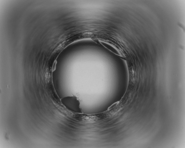 X0000096160324200802081440