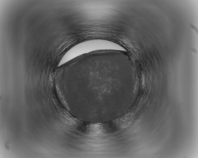 X0000096160325200802081440