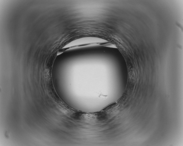 X0000096160327200802081440