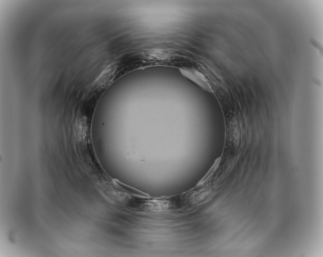 X0000096160328200802081440