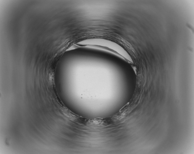 X0000096160329200802081440