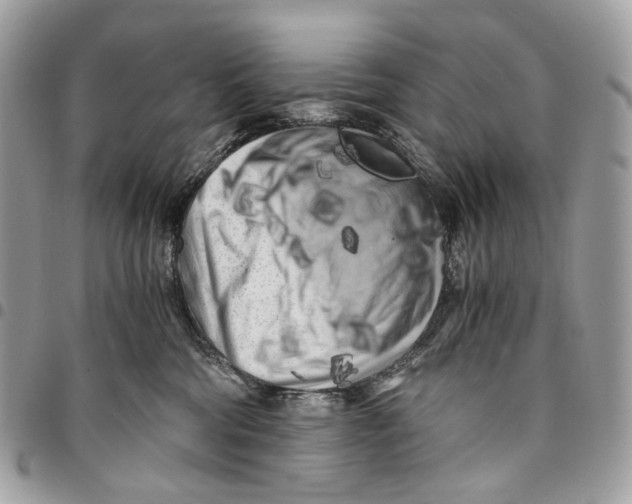 X0000096160330200802081440