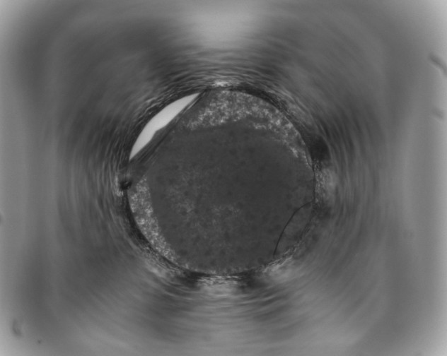 X0000096160331200802081440