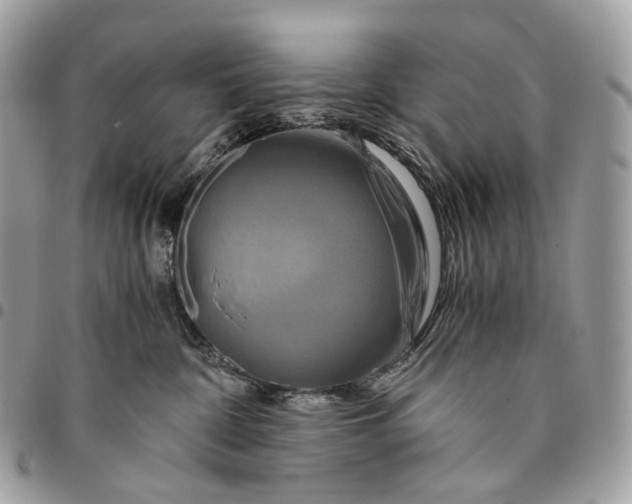 X0000096160332200802081439