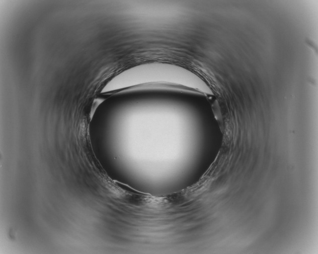 X0000096160333200802081439