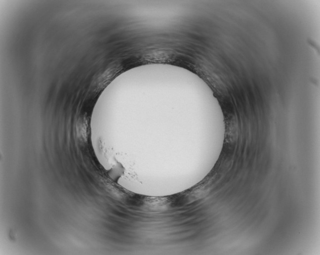 X0000096160334200802081439