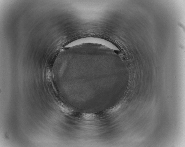 X0000096160336200802081439