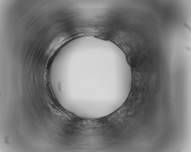 X0000096160338200802081439