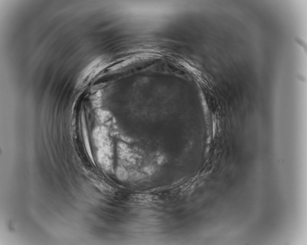 X0000096160339200802081439