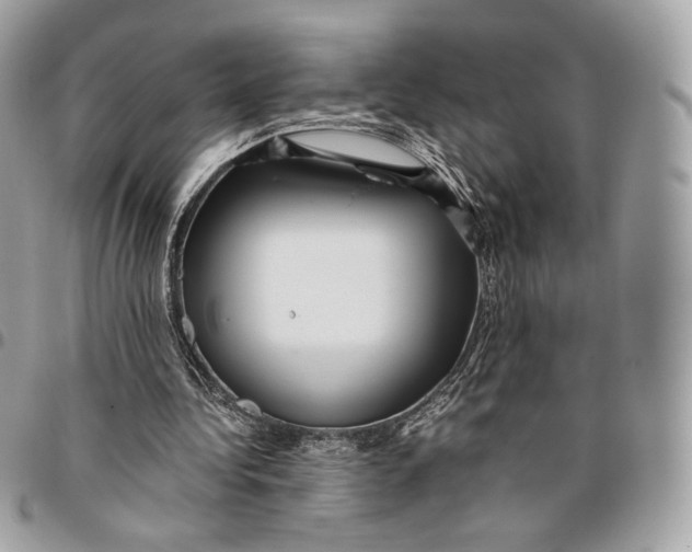 X0000096160340200802081439