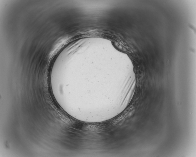 X0000096160341200802081439