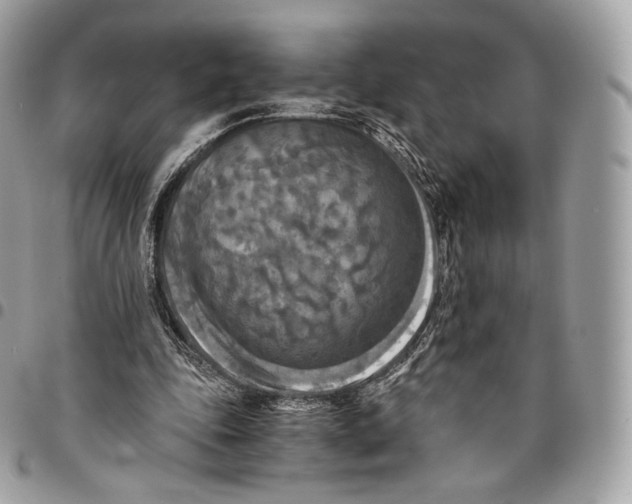 X0000096160343200802081439