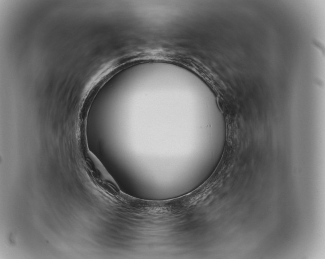 X0000096160344200802081439