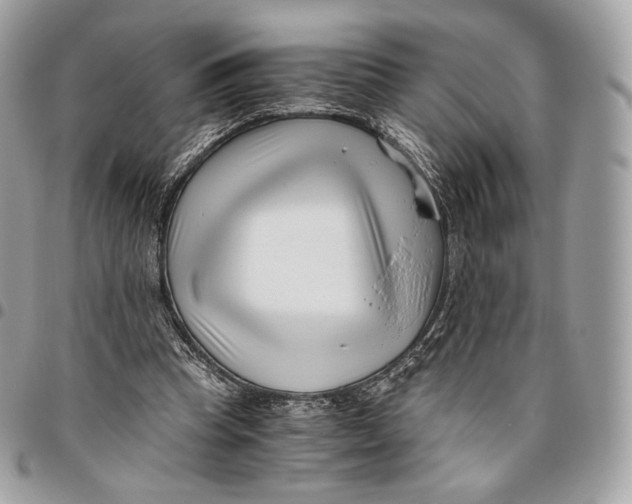 X0000096160345200802081439