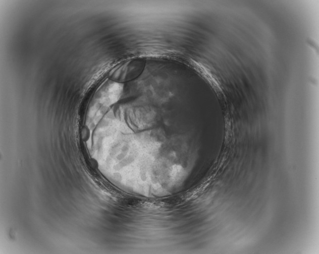 X0000096160346200802081439