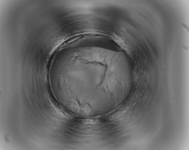 X0000096160347200802081439