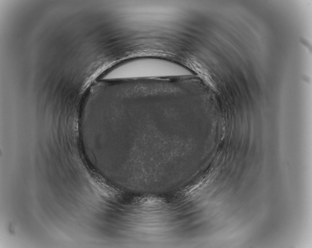 X0000096160348200802081439