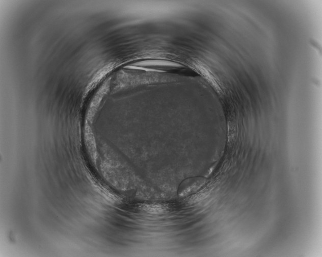 X0000096160349200802081439