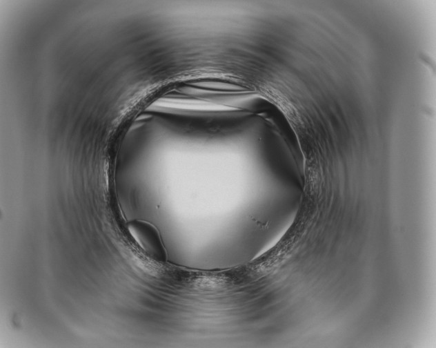 X0000096160350200802081439