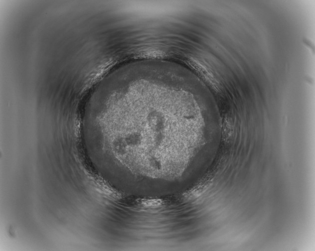 X0000096160355200802081439