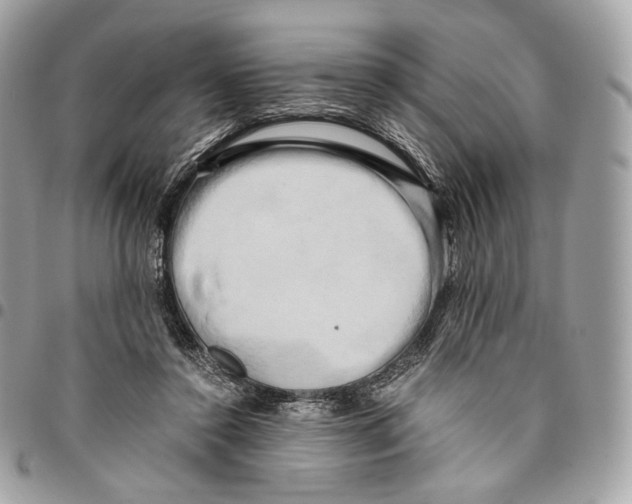 X0000096160356200802081439