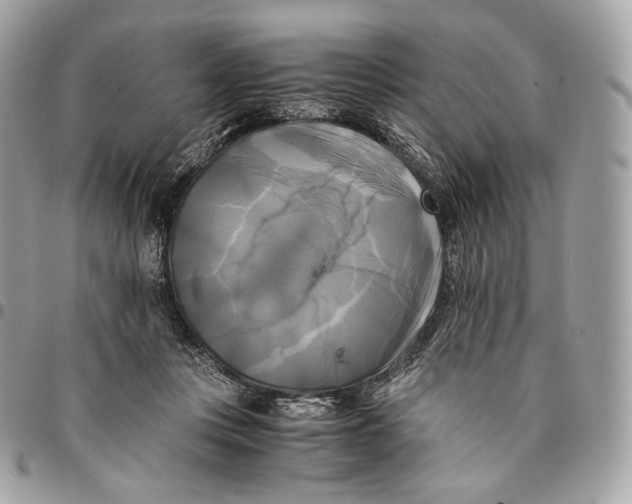 X0000096160359200802081439