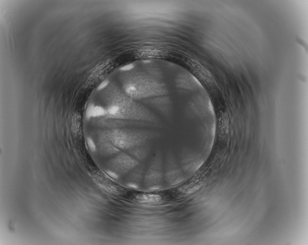 X0000096160361200802081439