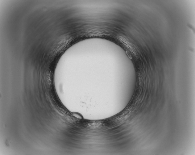 X0000096160362200802081439