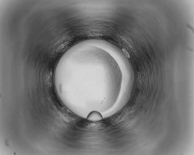 X0000096160364200802081439