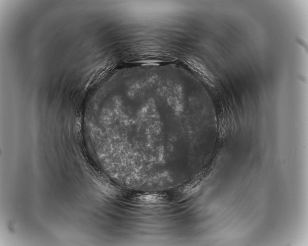 X0000096160365200802081439