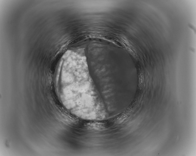 X0000096160367200802081439