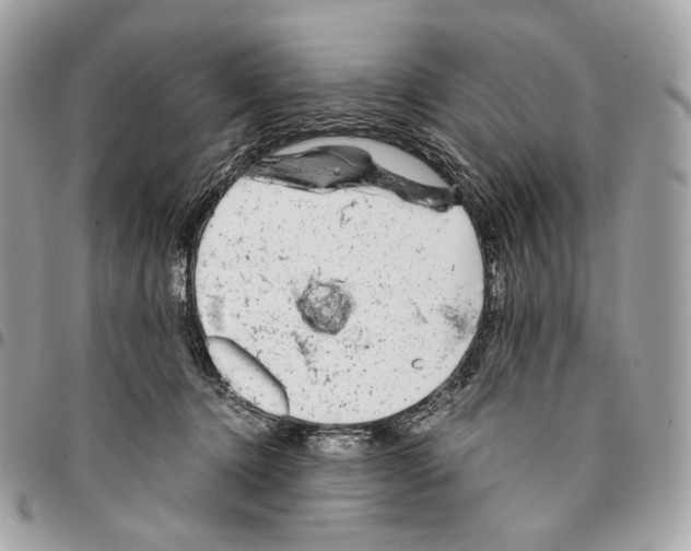 X0000096160368200802081439