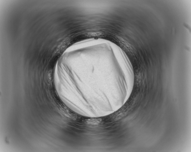 X0000096160373200802081439