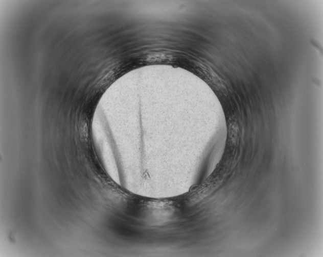 X0000096160375200802081439