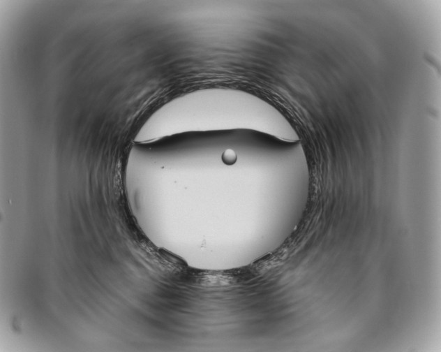 X0000096160376200802081439