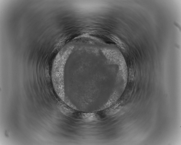 X0000096160377200802081439